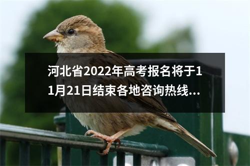 河北省2022年高考报名将于11月21日结束各地咨询热线将公布
