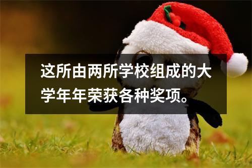 这所由两所学校组成的大学年年荣获各种奖项。