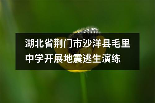湖北省荆门市沙洋县毛里中学开展地震逃生演练