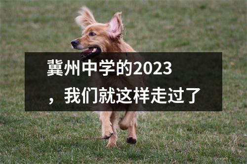 冀州中学的2023，我们就这样走过了