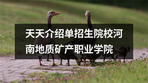 天天介绍单招生院校河南地质矿产职业学院