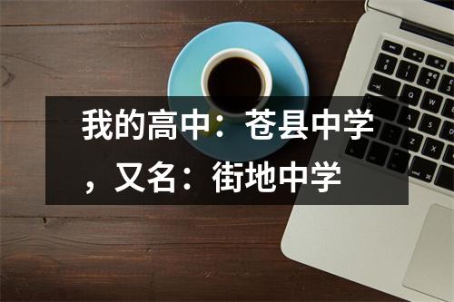 我的高中:苍县中学,又名:街地中学