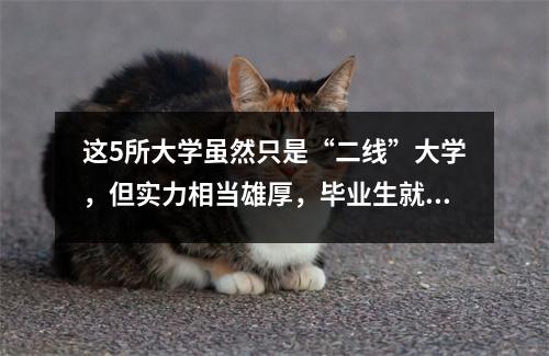 这5所大学虽然只是“二线”大学,但实力相当雄厚,毕业生就业有优势!