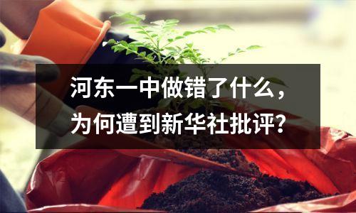 河东一中做错了什么,为何遭到新华社批评?