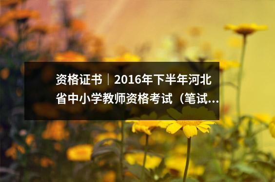 资格证书|2016年下半年河北省中小学教师资格考试(笔试)公告