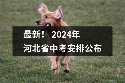 最新！ 2024年河北省中考安排公布