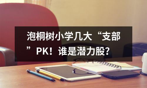 泡桐树小学几大“支部”PK!谁是潜力股?