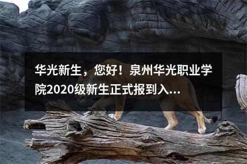 华光新生,您好!泉州华光职业学院2020级新生正式报到入学
