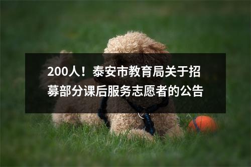 200人!泰安市教育局关于招募部分课后服务志愿者的公告