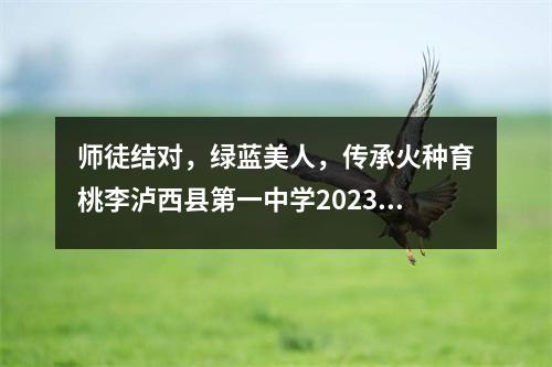 师徒结对,绿蓝美人,传承火种育桃李泸西县第一中学2023年“清澜工程师徒结对”