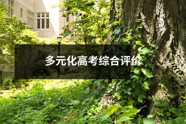 多元化高考综合评价