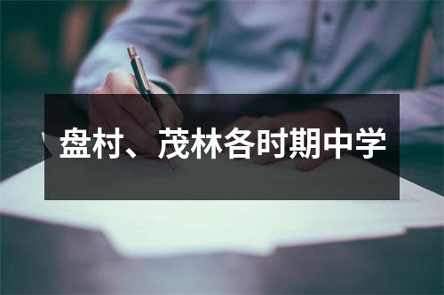 盘村、茂林各时期中学