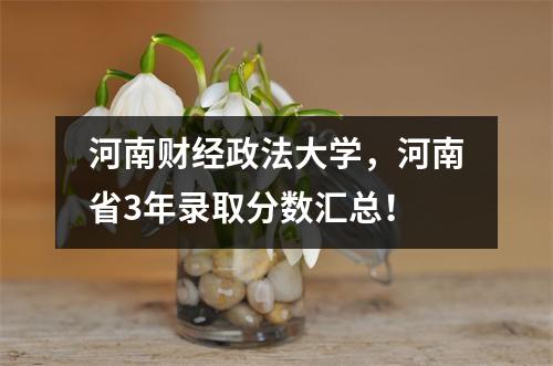 河南财经政法大学,河南省3年录取分数汇总!