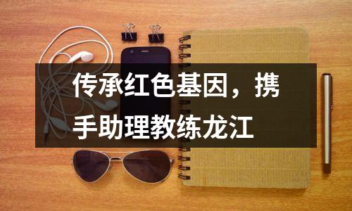 传承红色基因,携手助理教练龙江