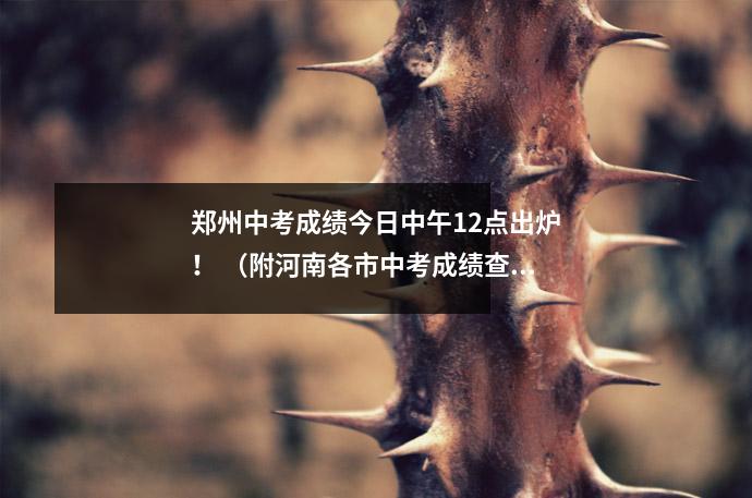 郑州中考成绩今日中午12点出炉! (附河南各市中考成绩查询时间及方法)