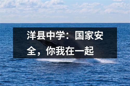 洋县中学:国家安全,你我在一起