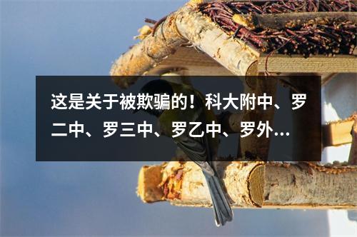 这是关于被欺骗的!科大附中、罗二中、罗三中、罗乙中、罗外……