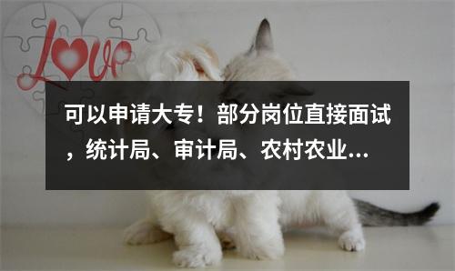 可以申请大专!部分岗位直接面试,统计局、审计局、农村农业局招聘