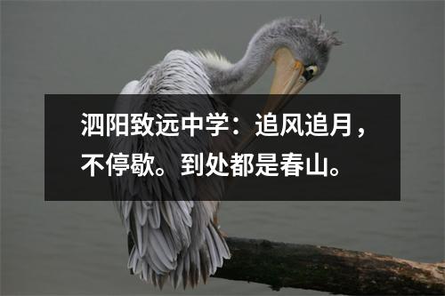 泗阳致远中学:追风追月,不停歇。到处都是春山。