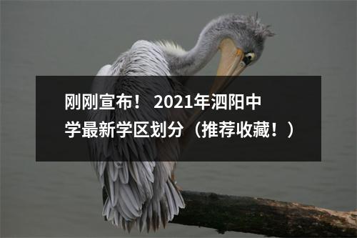 刚刚宣布! 2021年泗阳中学最新学区划分(推荐收藏!)