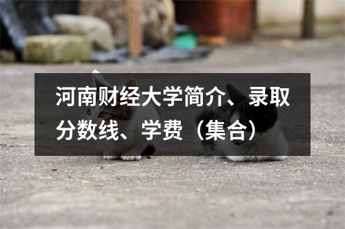 河南财经大学简介、录取分数线、学费(集合)