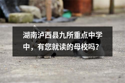 湖南泸西县九所重点中学中,有您就读的母校吗?