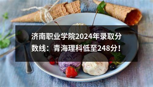 济南职业学院2024年录取分数线:青海理科低至248分!