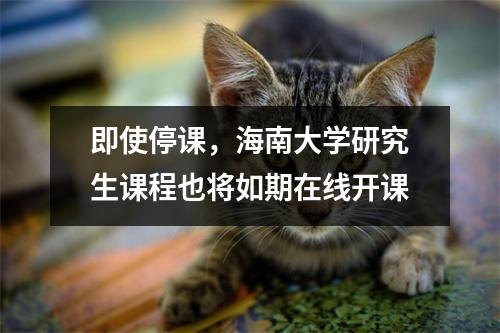 即使停课，海南大学研究生课程也将如期在线开课