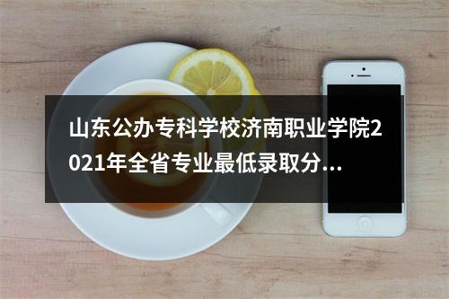 山东公办专科学校济南职业学院2021年全省专业最低录取分数线