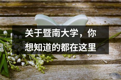 关于暨南大学,你想知道的都在这里