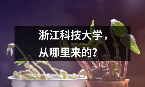 浙江科技大学,从哪里来的?
