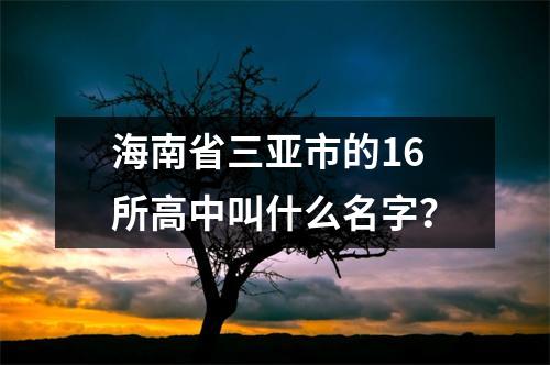 海南省三亚市的16所高中叫什么名字?