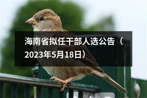 海南省拟任干部人选公告（2023年5月18日）
