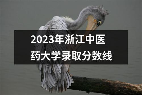 2023年浙江中医药大学录取分数线
