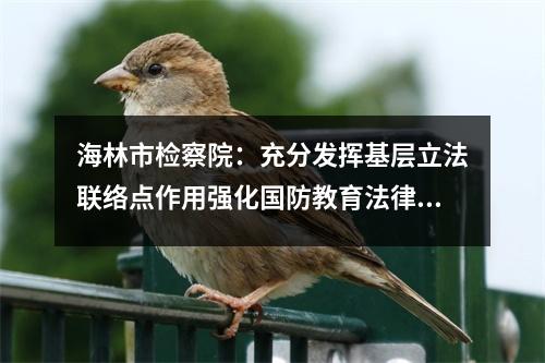 海林市检察院:充分发挥基层立法联络点作用强化国防教育法律保障