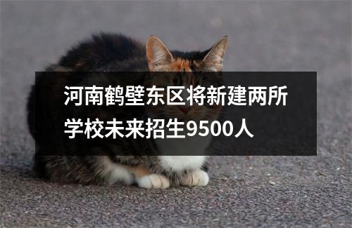 河南鹤壁东区将新建两所学校未来招生9500人
