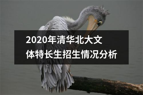 2020年清华北大文体特长生招生情况分析