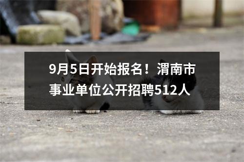 9月5日开始报名!渭南市事业单位公开招聘512人