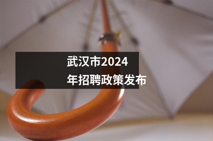 武汉市2024年招聘政策发布