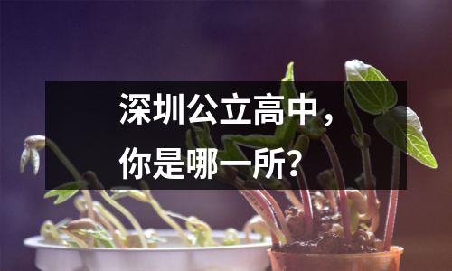 深圳公立高中,你是哪一所?