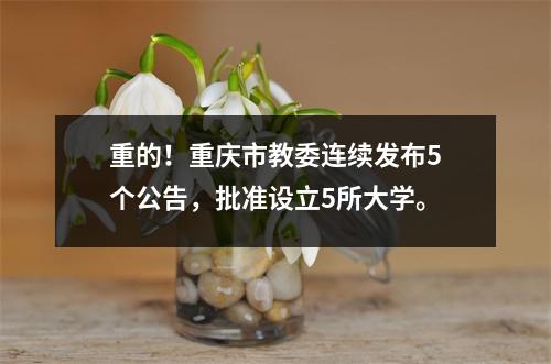 重的!重庆市教委连续发布5个公告,批准设立5所大学。