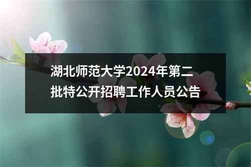 湖北师范大学2024年第二批特公开招聘工作人员公告