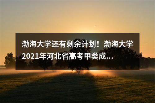 渤海大学还有剩余计划!渤海大学2021年河北省高考甲类成绩公布。