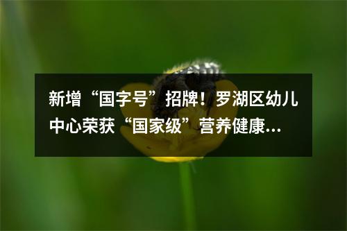 新增“国字号”招牌!罗湖区幼儿中心荣获“国家级”营养健康幼儿园称号