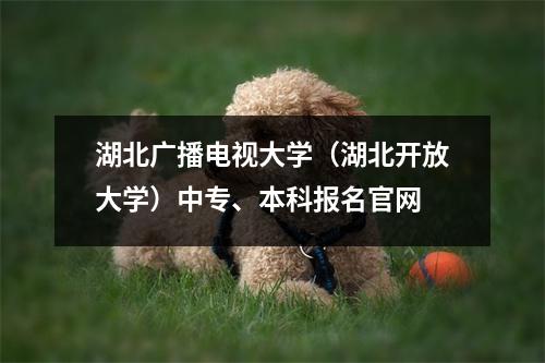 湖北广播电视大学(湖北开放大学)中专、本科报名官网