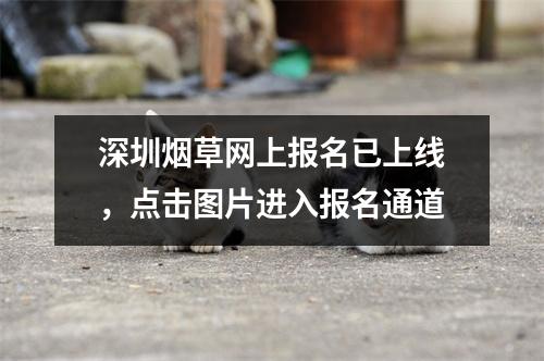 深圳烟草网上报名已上线,点击图片进入报名通道
