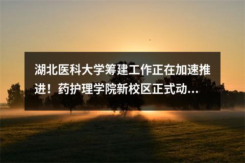 湖北医科大学筹建工作正在加速推进!药护理学院新校区正式动工,将于2025年秋季竣工
