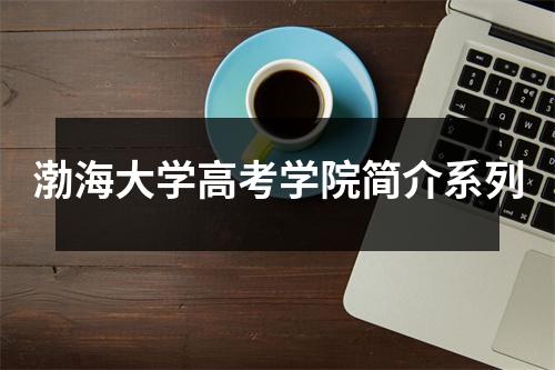 渤海大学高考学院简介系列