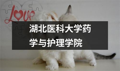 湖北医科大学药学与护理学院