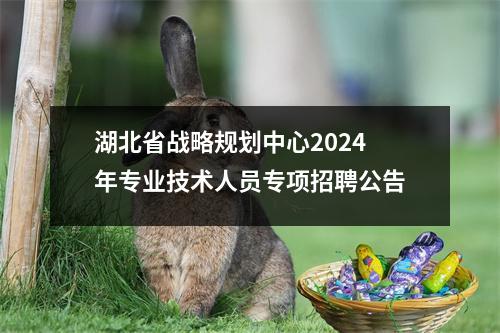 湖北省战略规划中心2024年专业技术人员专项招聘公告